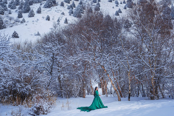 A girl in  fabulous long green dress in the snow-covered mountains. A woman in a fairy-tale dress...