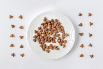 Domestic cat food. Minimalism top view flat lay plate with white dry food. Pet care.