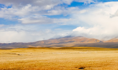 Fototapeta na wymiar Beautiful landscape of Bayanbulak Grassland National Nature Reserve