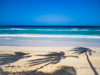 Three shadows of palm trees on a tropical beach
