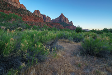 the watchman from parus trail in zion national park, usa