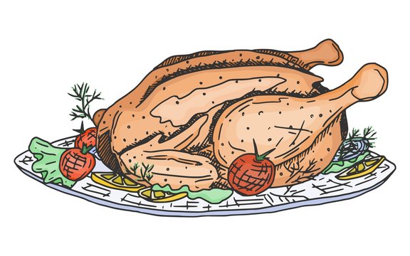 roasted chicken on plate, food, sketch style clip art preview