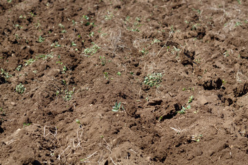 Background From Freshly Plowed Soil