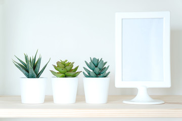 Mock up white frame and home plant on table. Home decoration