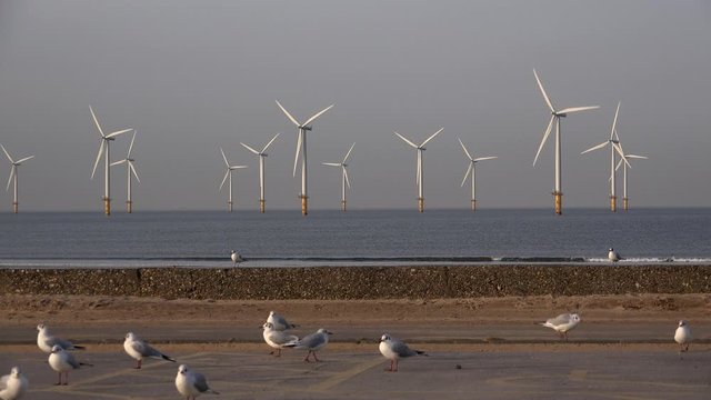 Offshore wind turbine farm off teesside North east England UK 4K