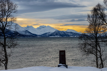 stele affiorante dalla neve in riva al fiordo norvegese