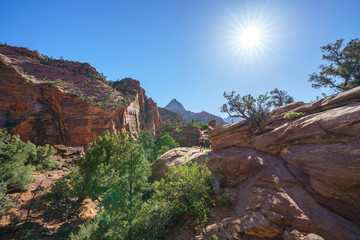 hiking the canyon overlook trail in zion national park, utah, usa