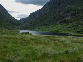 Fototapeta na wymiar paysage irlandais