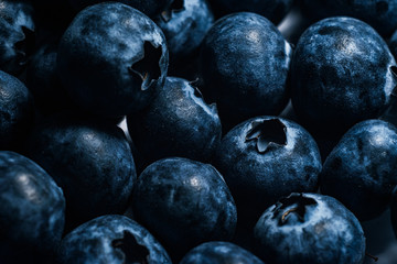 real close-up of fresh delicious blueberries