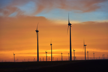 Obraz premium Eolian turbines park at sunet, warm light. Wind power concept