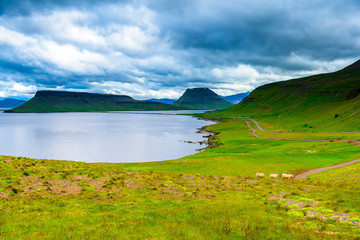 Beautiful rugged Iceland Fjord seascape