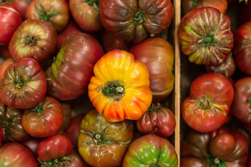 Organic tomatoes from above in market in Antibes France