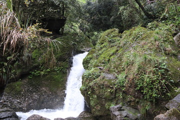 Beautiful landscape of a waterfall in a forest in a Mountain in Sichuan, China