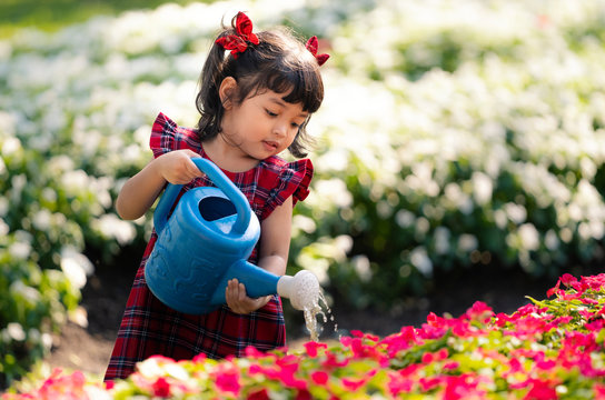 Asian little child girl pouring water on the trees. kid helps the world to care for the nature plants in the garden.