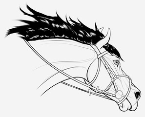 Linear portrait of a running horse dressed in figure eight noseband bridle. Stallion lowered its head. Vector clip art for equestrian clubs and coloring books.