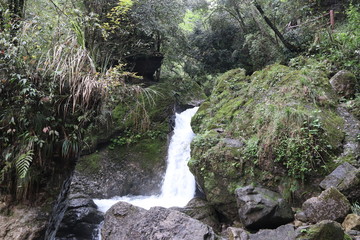 Beautiful landscape of a waterfall in a forest in a Mountain in Sichuan, China