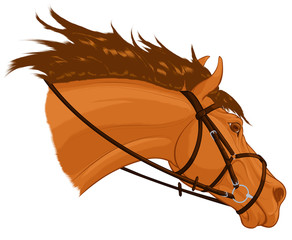 Portrait of a running sorrel horse dressed in figure eight noseband bridle. Stallion lowered its head. Vector clip art for stud farms and equestrian clubs.