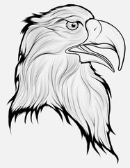 Black and white head of a disheveled eagle, looking predatory. Linear vector illustration of a bird of prey.