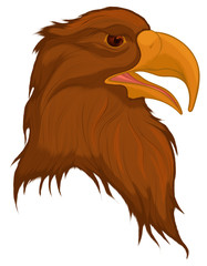 Head of a disheveled brown eagle, looking predatory. Colored vector illustration of a bird of prey.