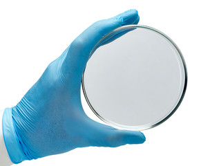 Closeup of a hand  holding a glass petri dish. Used in microbiology and chemistry.