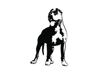 American Pit Bull Pitbull Bully Staffordshire Terrier Pit Bull Dog Pitbull Dog Black Logo Vector Cricut Cut Cutting.
