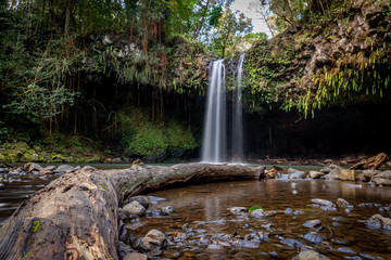 waterfall in the forest