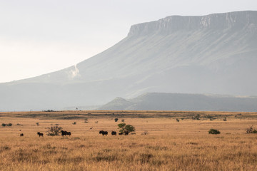 Camdeboo Game Viewing Area bei Graaff-Reinet