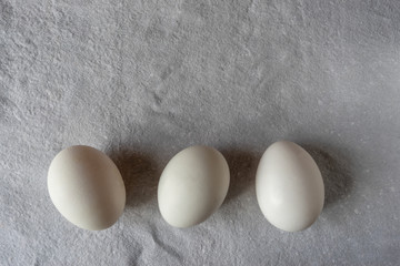 White eggs on paper background, copy space.