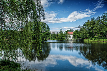 Staw w Zwierzyńcu / lubelskie / Polska