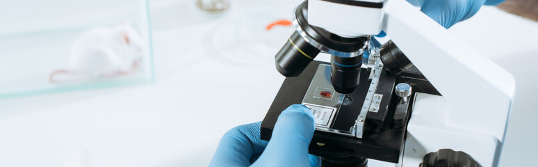 cropped view of biologist in latex gloves making analysis with microscope near white mouse in glass...