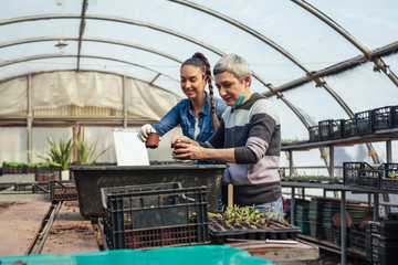 Senior and young women working in a greenhouse.