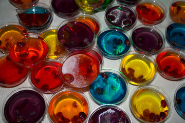 COLORIDAS GELATINAS EN FIESTA DE NIÑOS
