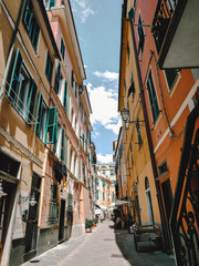 Fototapeta na wymiar Houses in Cinque Terre 2019
