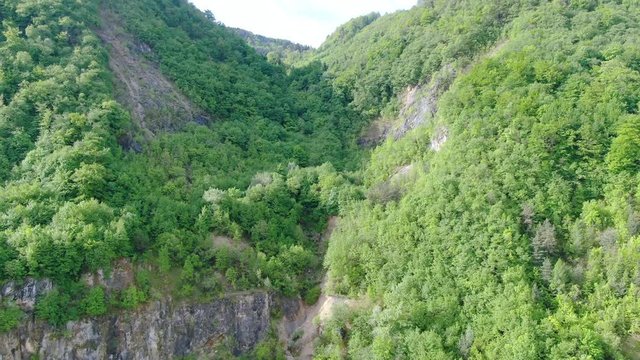 Aerial shot revealing a mountain covered by trees and vegetation in Suhi Potok, Slovenia