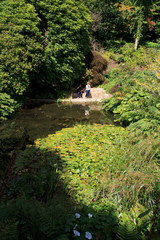 Fototapeta premium Saltash (England), UK - August 21, 2015: Cotehele park, near Saltash, Cornwall, England, United Kingdom. .