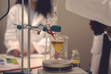 Laboratory scientist working at lab