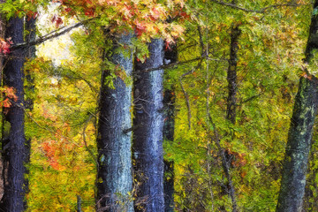 Obraz premium Impressionistic Style Artwork of Autumn Colors Hidden Deep in the Green Forest