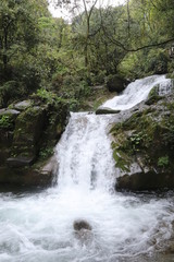 Naklejka premium Beautiful landscape of a waterfall in a forest in a Mountain in Sichuan, China