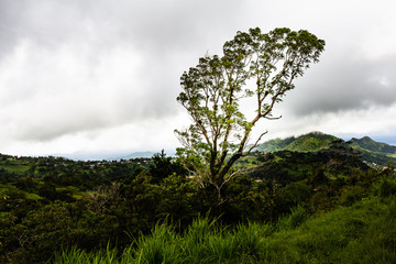 Obraz premium Hiking around the Soufrière volcano, Guadeloupe