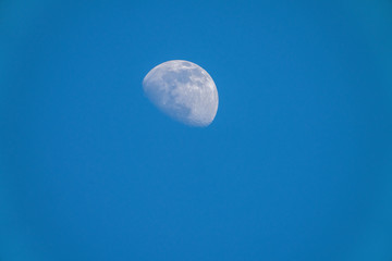 Lune sur ciel bleu