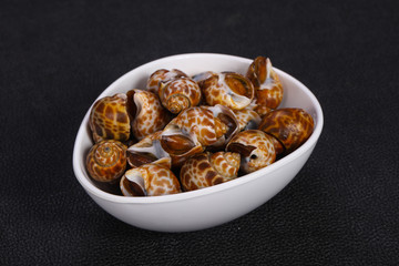 Tasty mollusk - spotted Babylon in the bowl