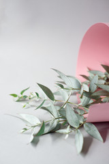Trendy bouquet of fresh eucalyptus branches in pink paper roll on a gray background for a minimalistic eco concept.