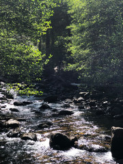 Yosemite National Park lake view