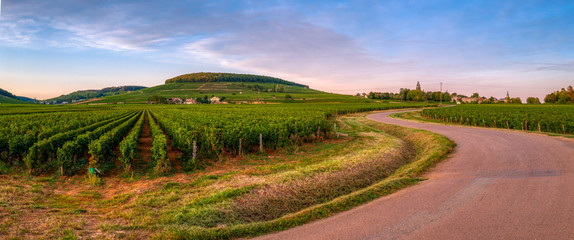route des grands crus © Eléonore H
