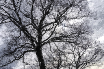 Fototapeta na wymiar Impressionistic Style Artwork of Dark Ominous Silhouetted Tree on a Cold Overcast Morning