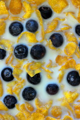 A close up color image of frosted corn flakes with milk and blueberries.