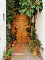 Fototapeta na wymiar Tropical mediterean plants near the front door 