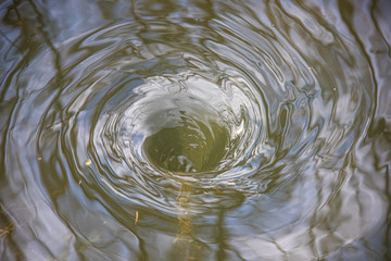 Wasserstrudel auf überschwemmter Wiese