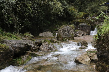 Fototapeta na wymiar Beautiful landscape of river falls over mossy rocks, stones cover with moss, in a Mountain in Sichuan, China