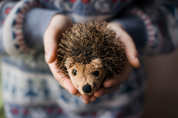 young woman with the hedgehog doll in her hands